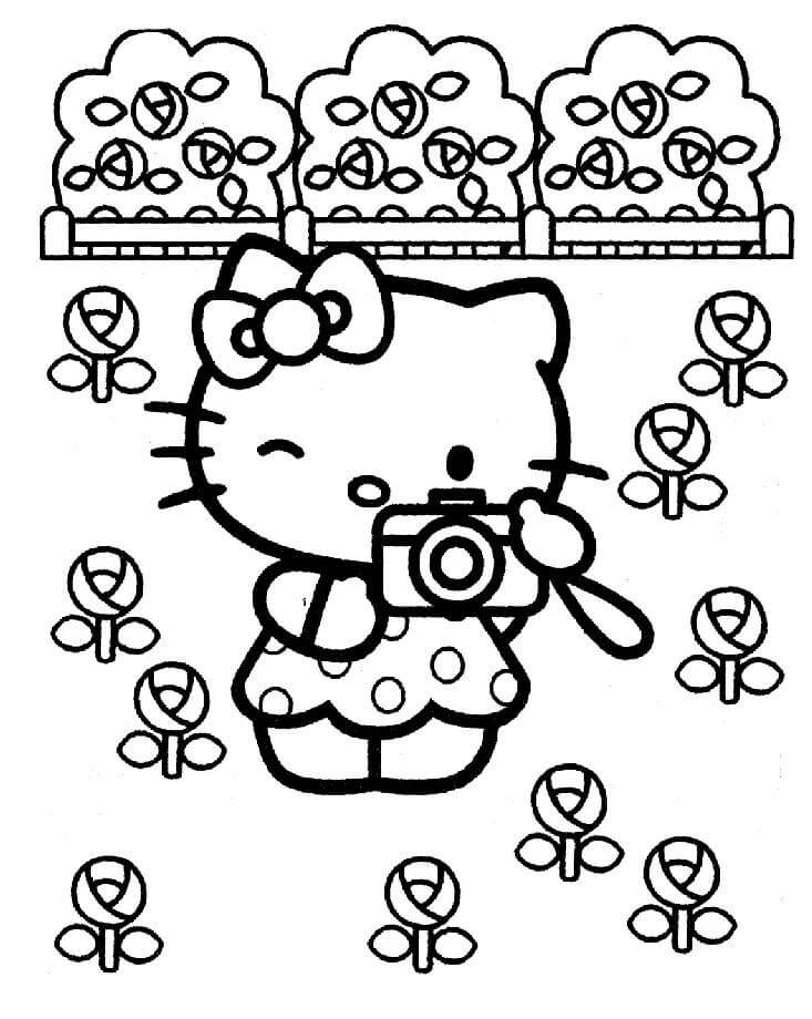 Hello Kitty tomando Fotos del Jardin de Flores para Colorear