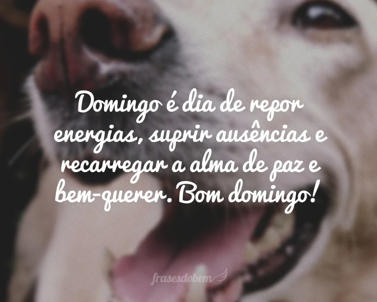 Domingo é dia de repor energias