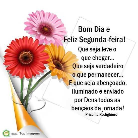 Feliz Segunda-feira! Que seja leve o que chegar