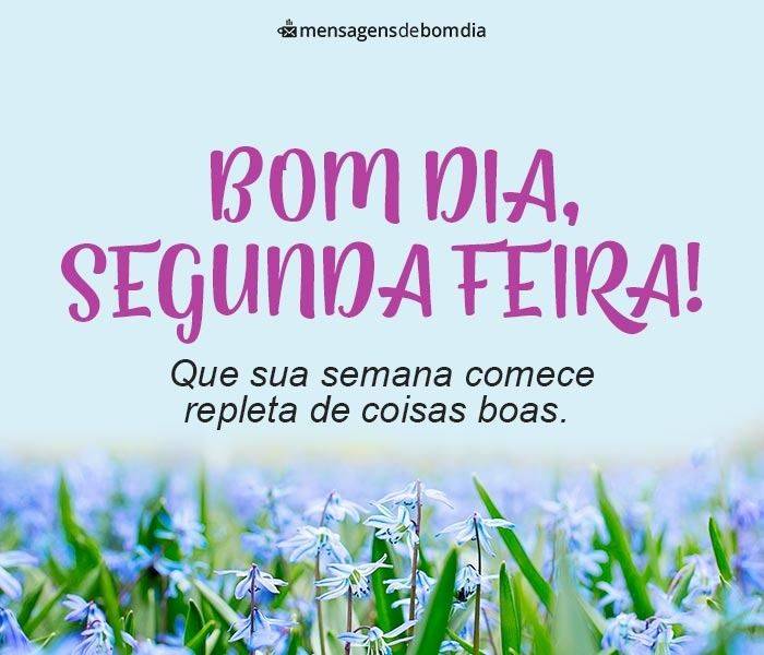 mensagem de bom dia segunda feira repleta de coisas boas