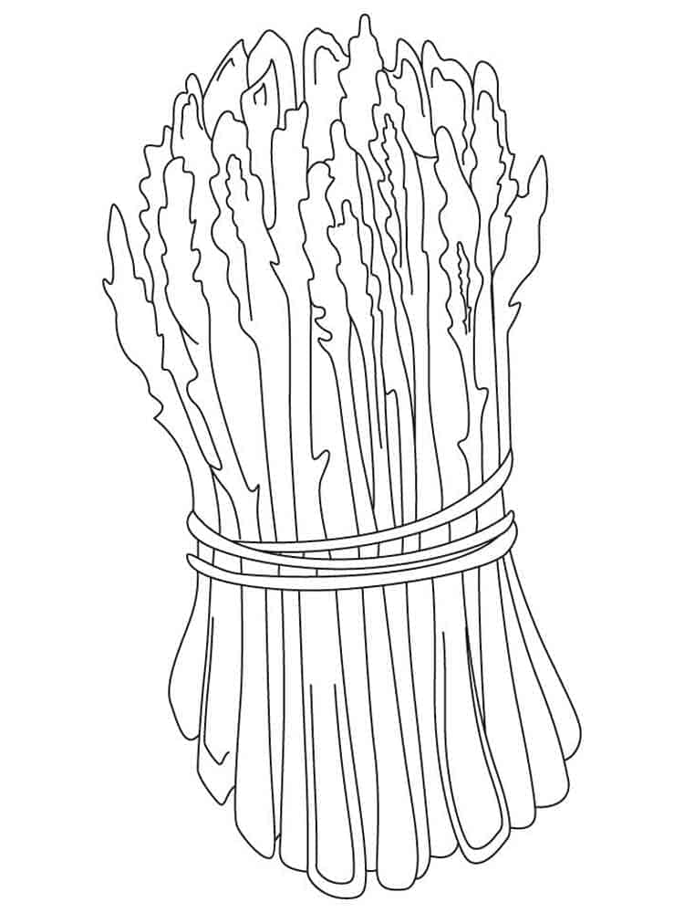 asparagus for free coloring page