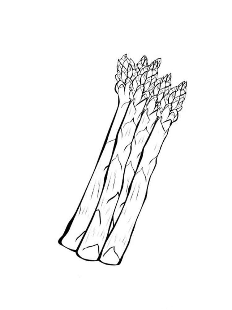 asparagus free coloring page