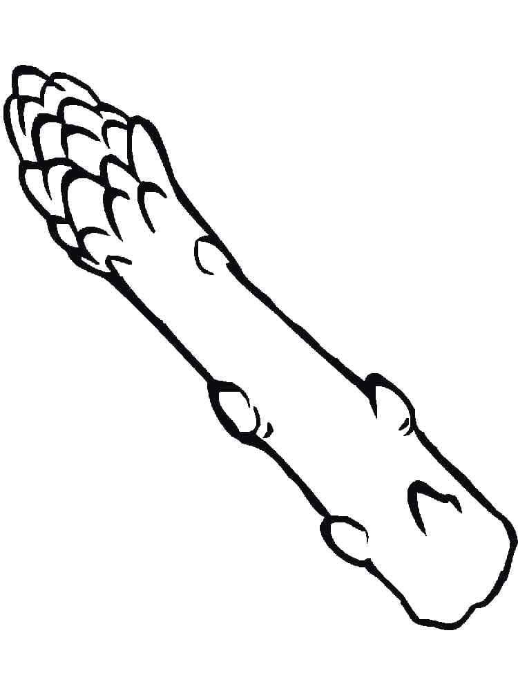 asparagus printable for kids coloring page