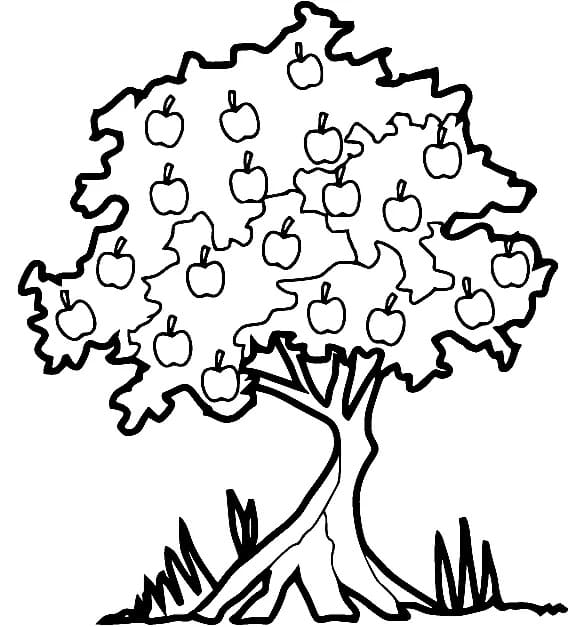 free printable apple tree coloring page