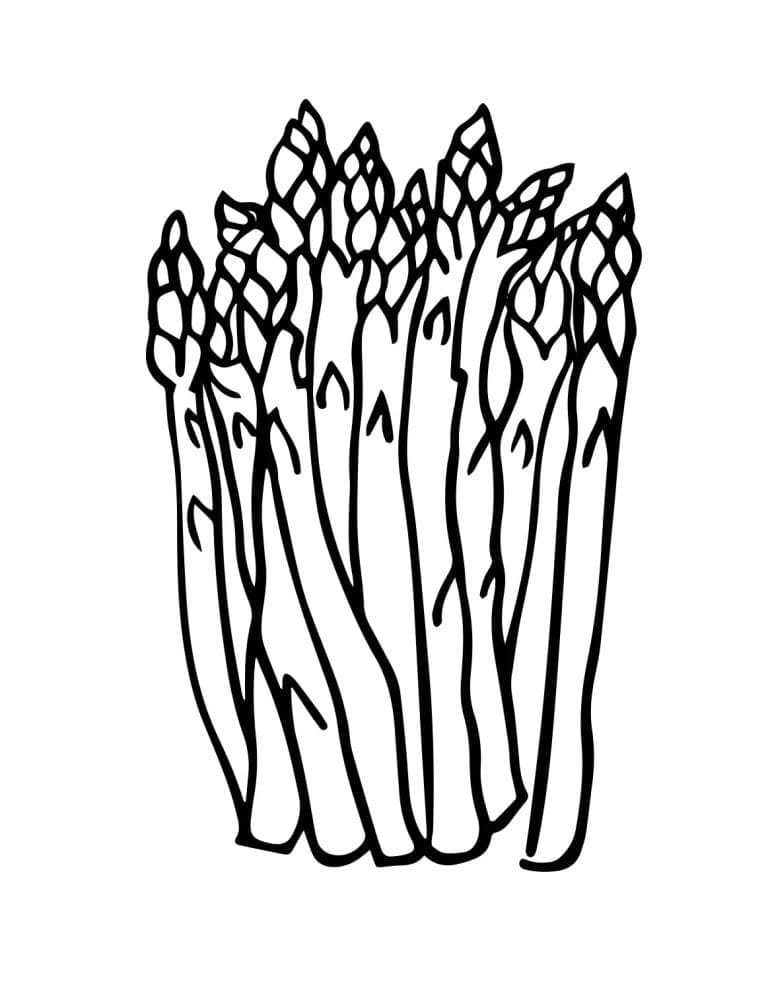 print asparagus coloring page