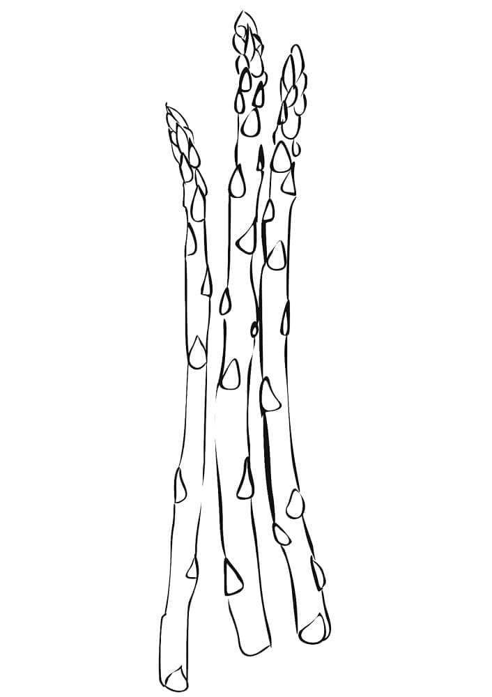 printable asparagus coloring page