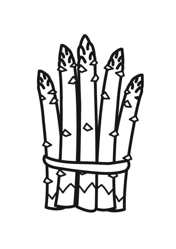 simple asparagus coloring page