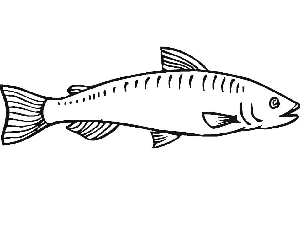 desenho de peixe salmão para imprimir e colorir
