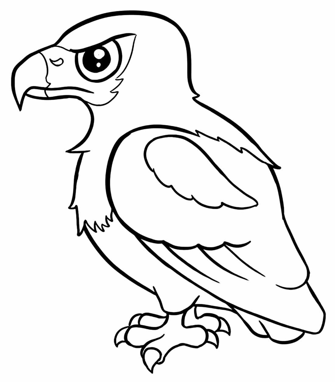 desenhos de águia para imprimir e pintar