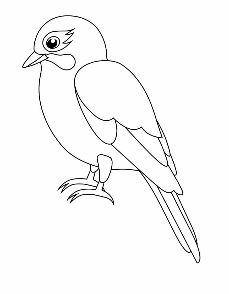 desenho de passarinho fofo para colorir e imprimir em pdf