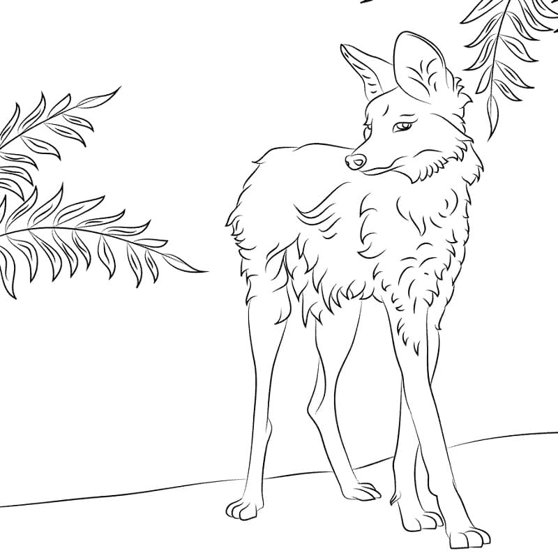 desenho de lobo guara imprimível para colorir