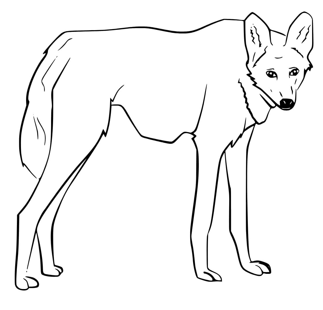 desenho de lobo guara para imprimir e pintar