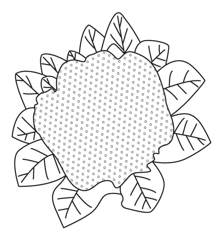 desenho de couve flor fácil para colorir