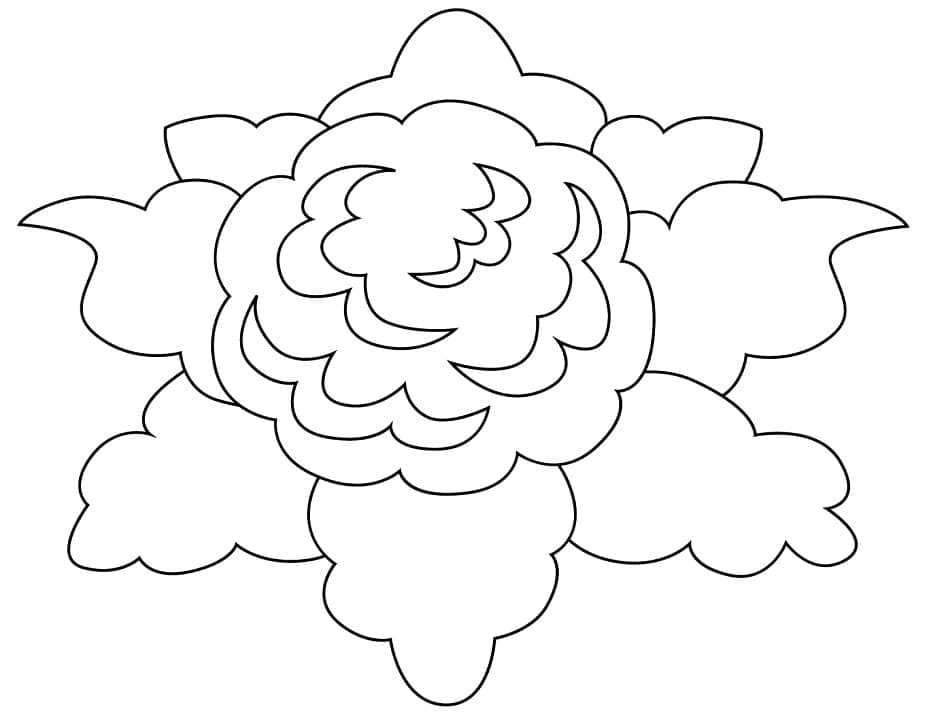 desenho de couve flor com detalhes para colorir