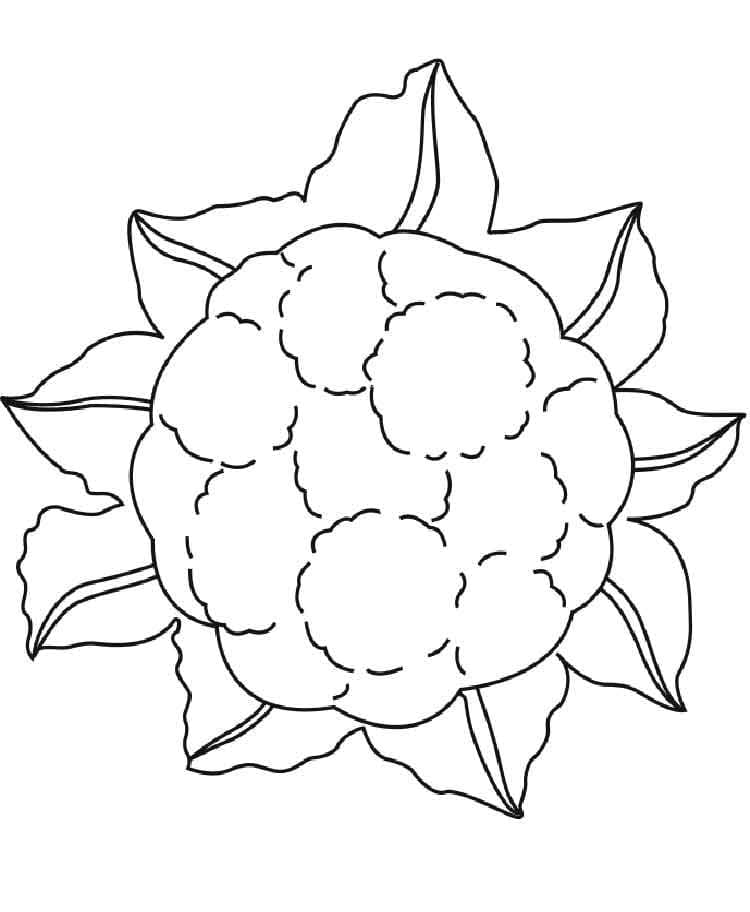 desenho de couve flor em linha simples para colorir