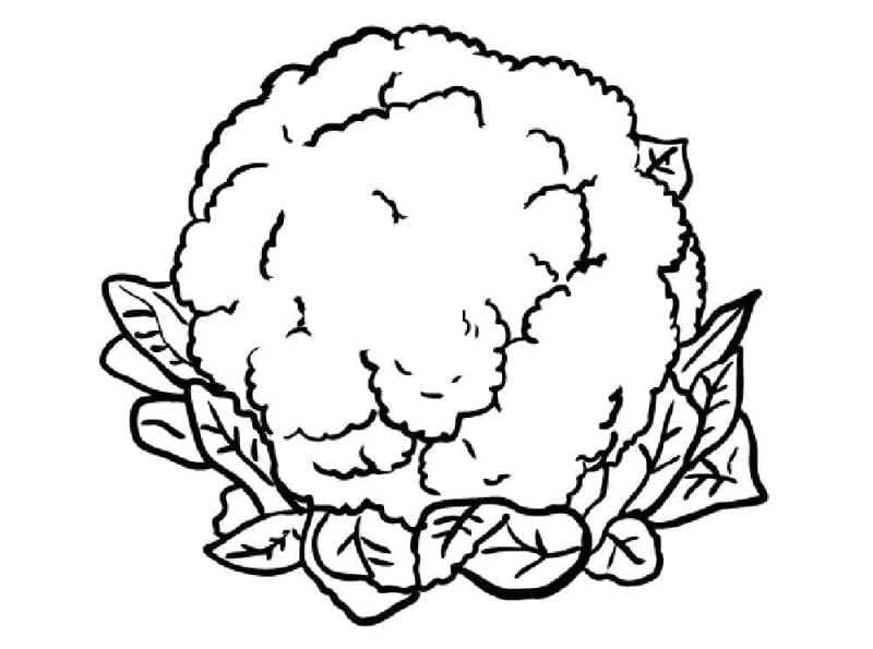 desenho de couve flor para colorir e imprimir