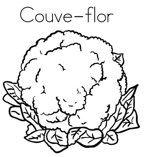 desenho de couve flor simples para colorir