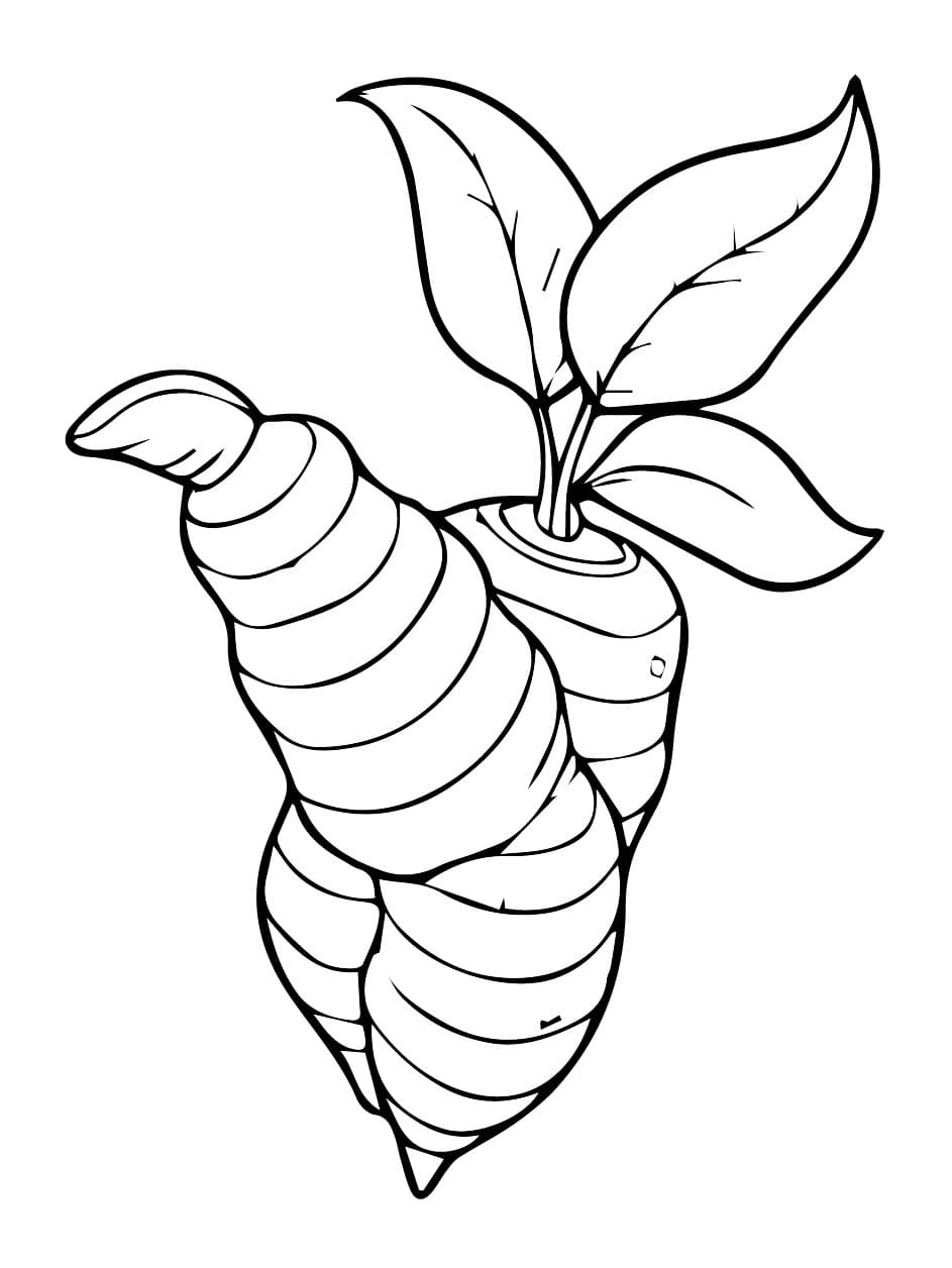 desenho de mandioca imprimível para crianças para colorir