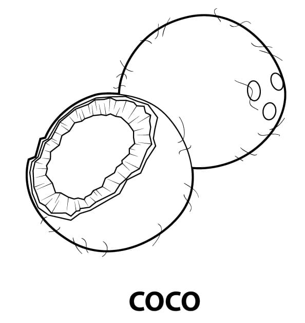 desenho fruta de coco para colorir