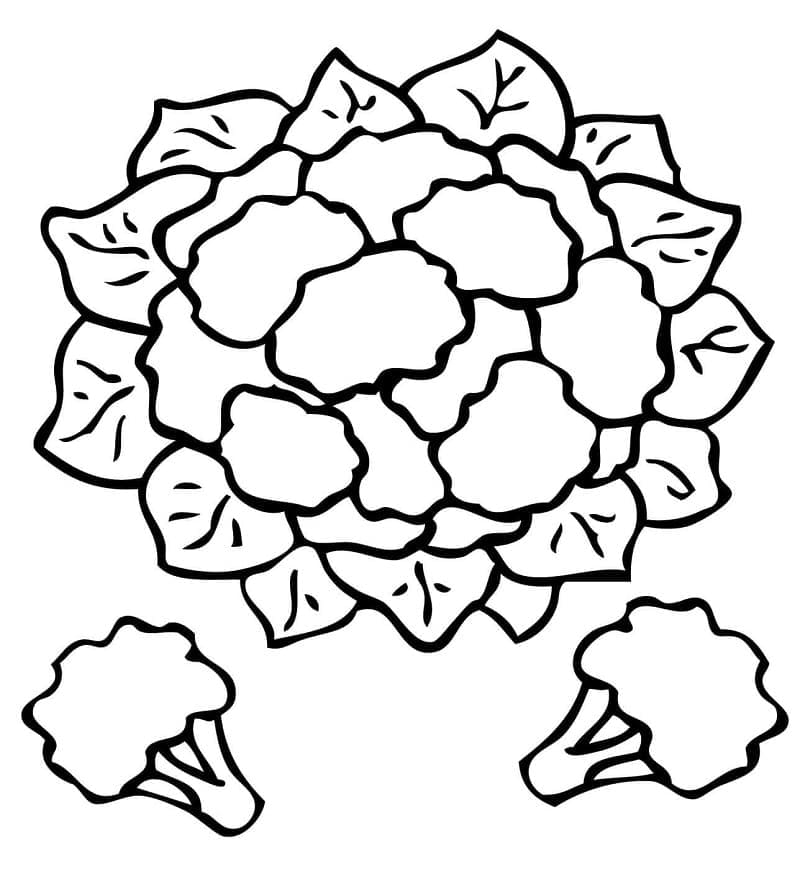 desenhos de couve flor livro para colorir em pdf