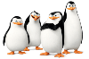 Pinguins de Madagascar para Colorir